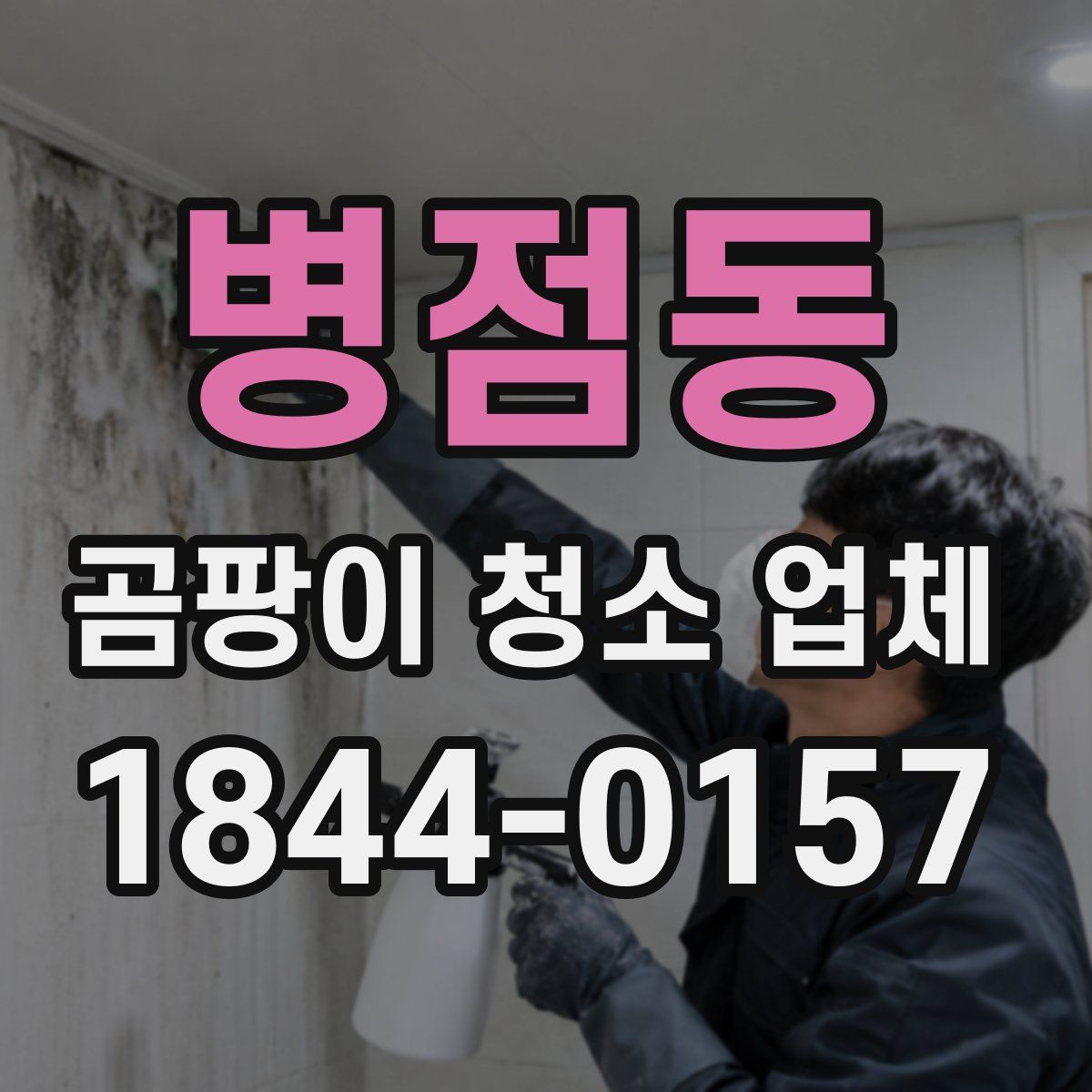 병점동 곰팡이 청소 업체