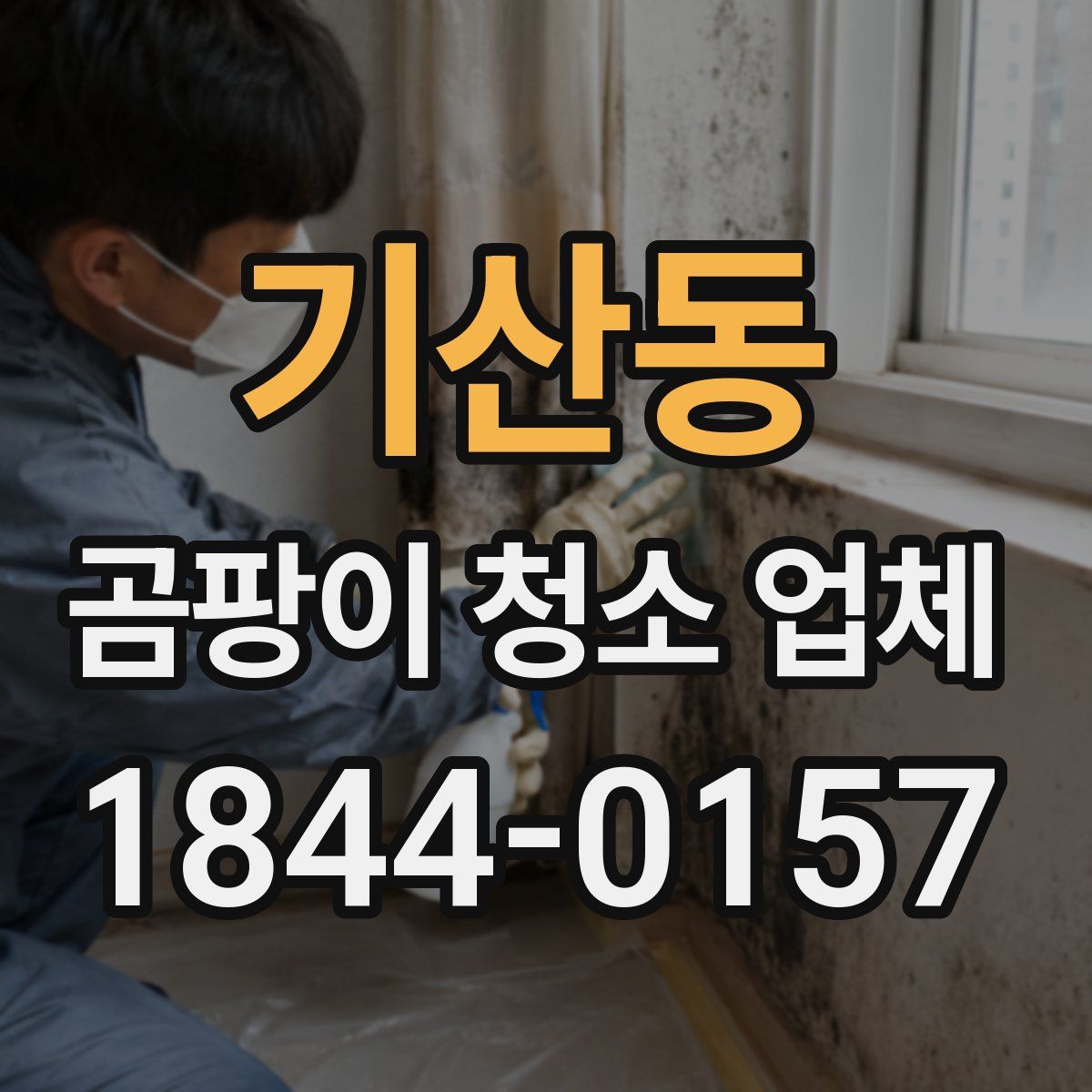 기산동 곰팡이 청소 업체