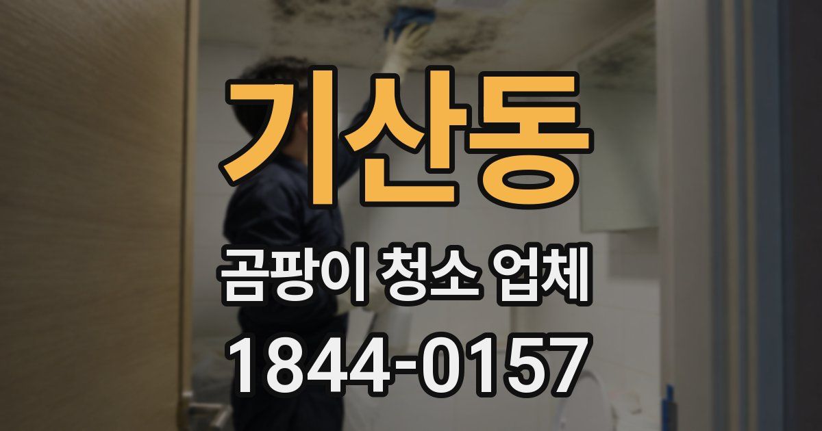 기산동 곰팡이 청소 업체