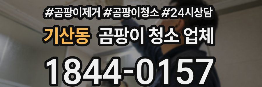 기산동 곰팡이 청소 업체
