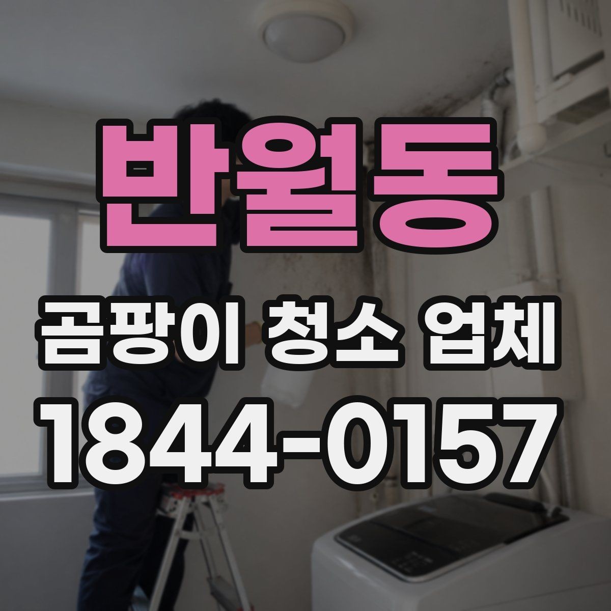 반월동 곰팡이 청소 업체 습기 많은 주방에서 자주 생기는 문제