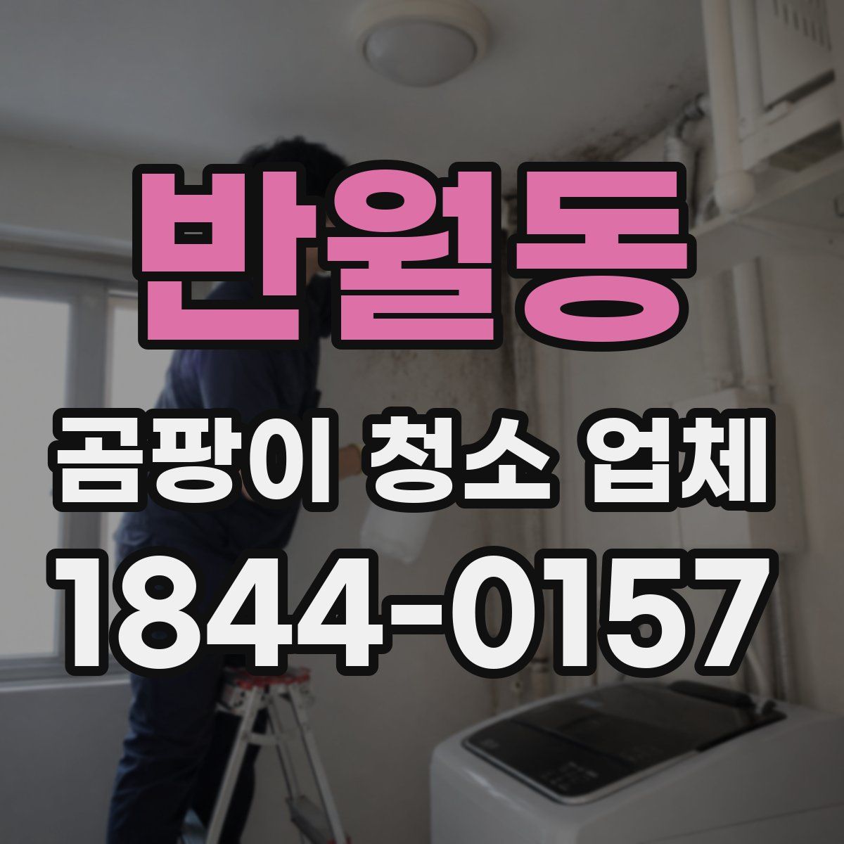 반월동 곰팡이 청소 업체
