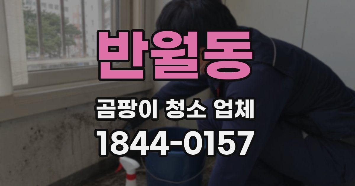 반월동 곰팡이 청소 업체