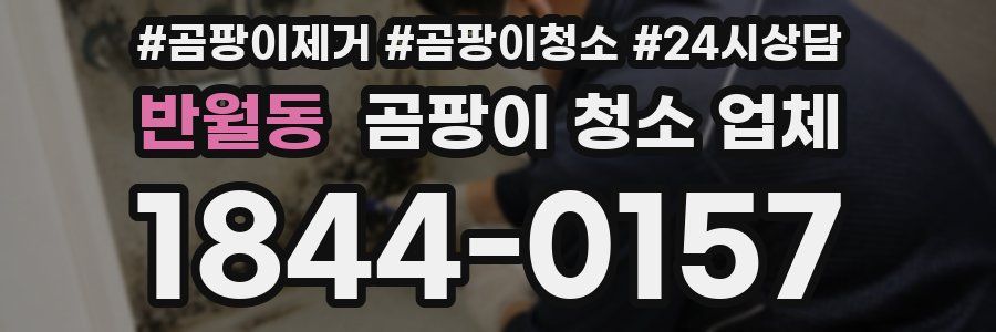 반월동 곰팡이 청소 업체