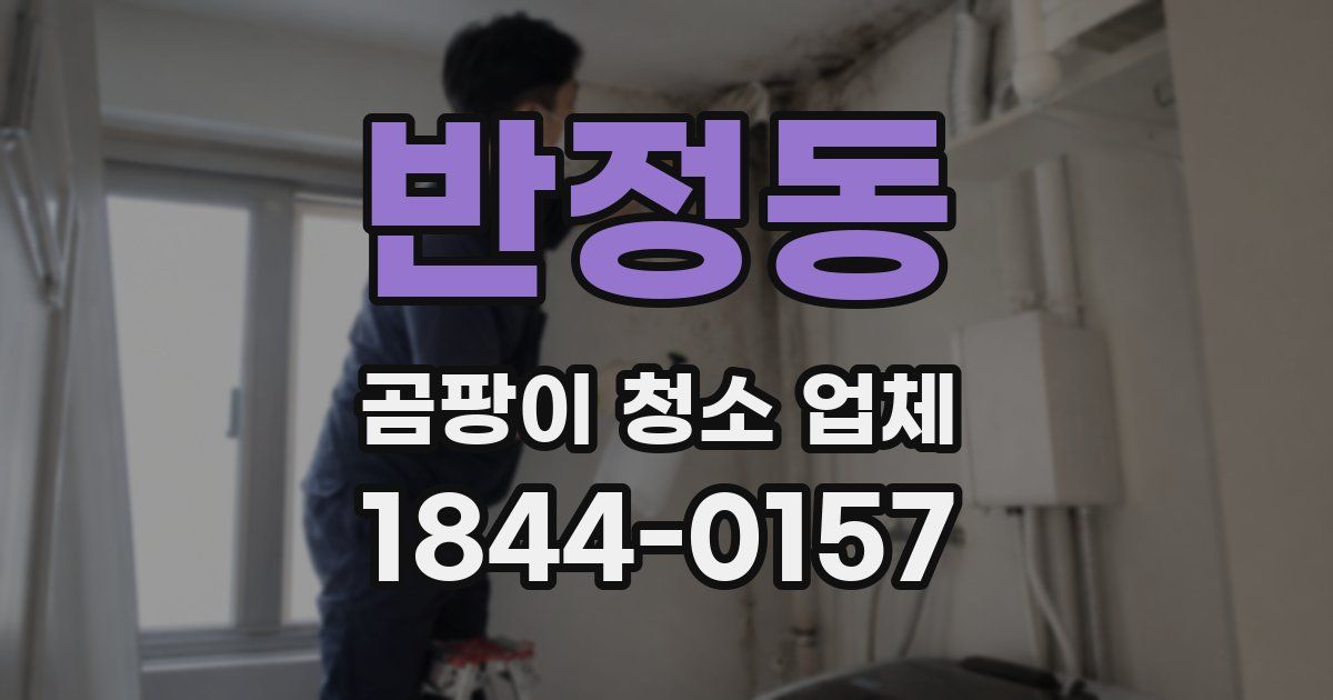 반정동 곰팡이 청소 업체