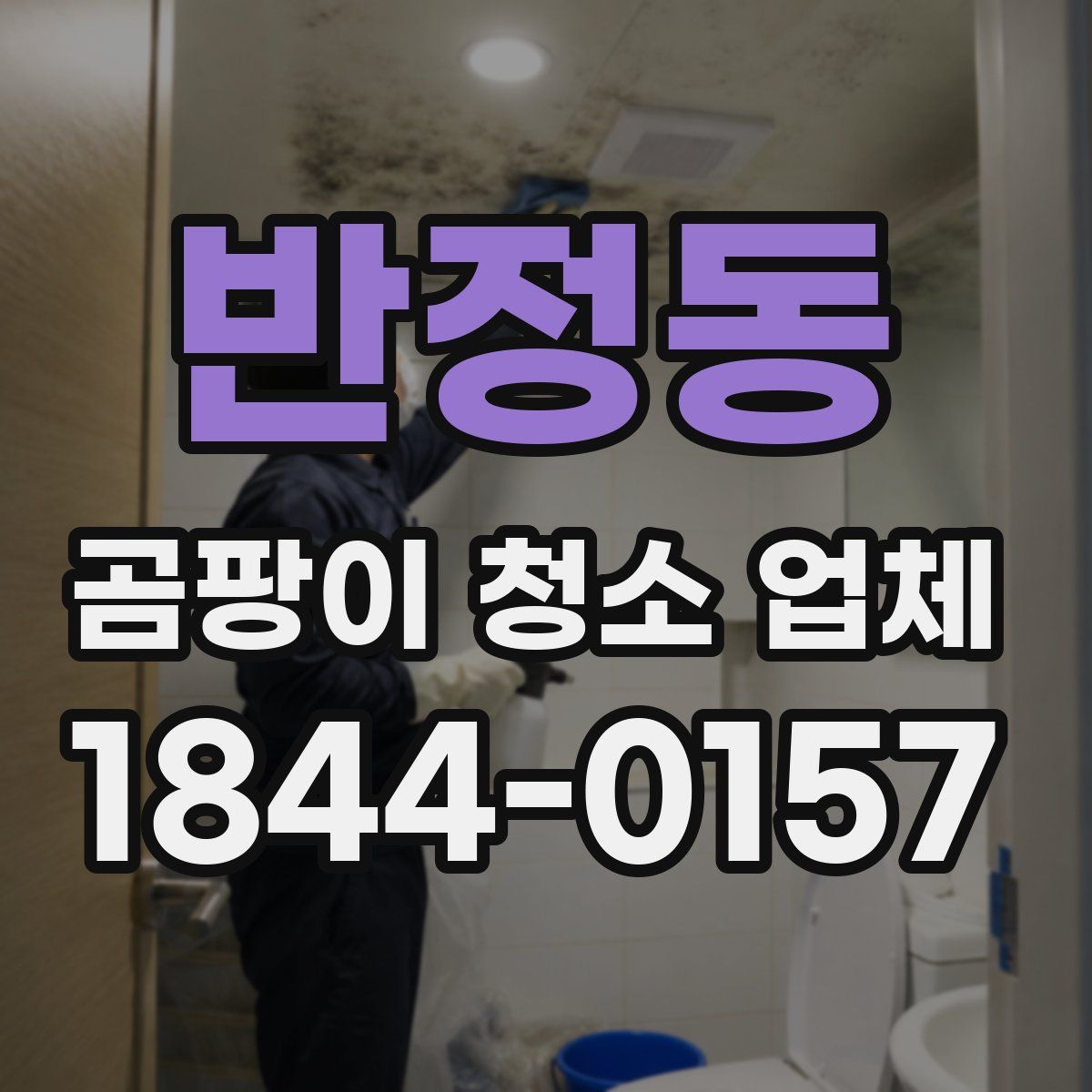 반정동 곰팡이 청소 업체