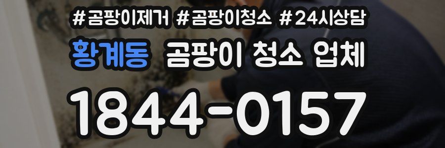 황계동 곰팡이 청소 업체