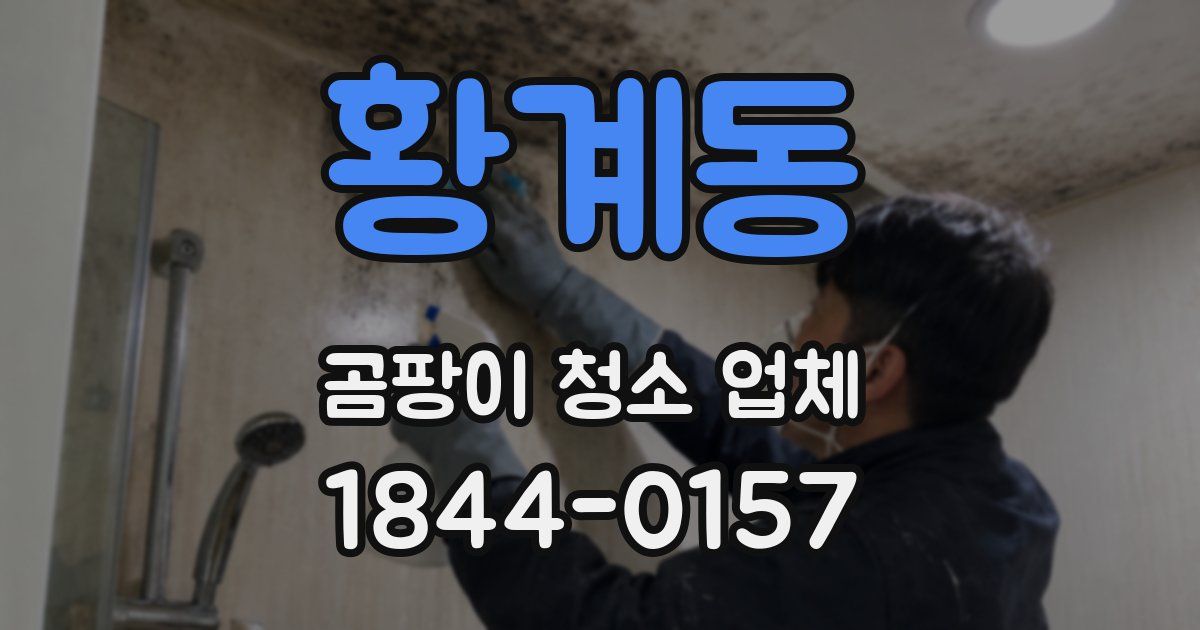 황계동 곰팡이 청소 업체
