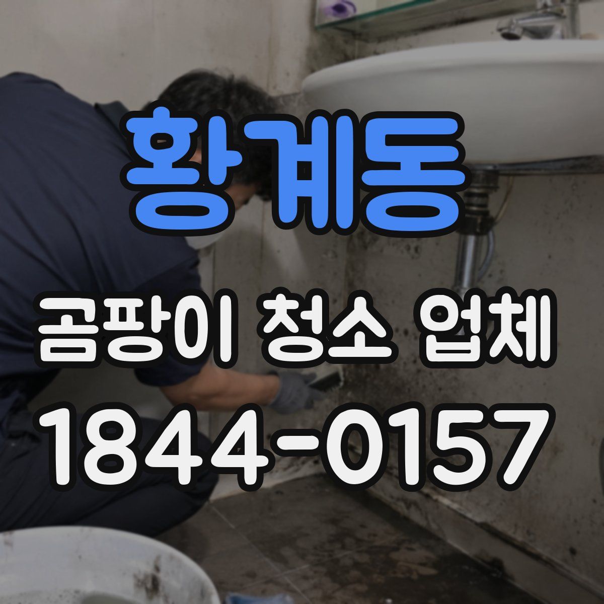 황계동 곰팡이 청소 업체
