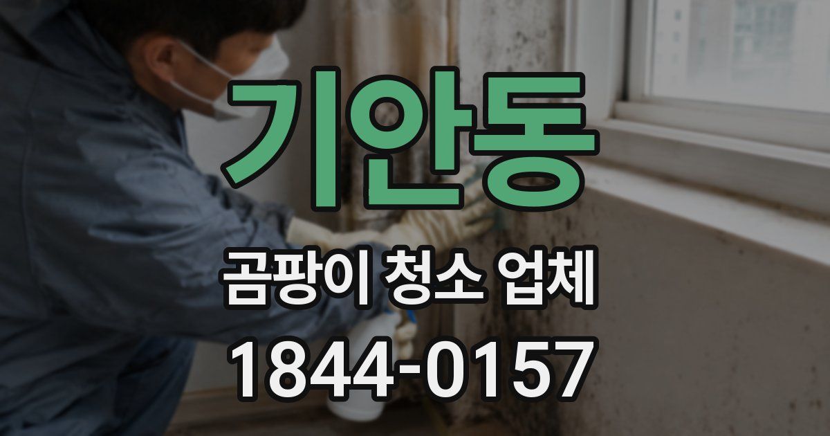 기안동 곰팡이 청소 업체