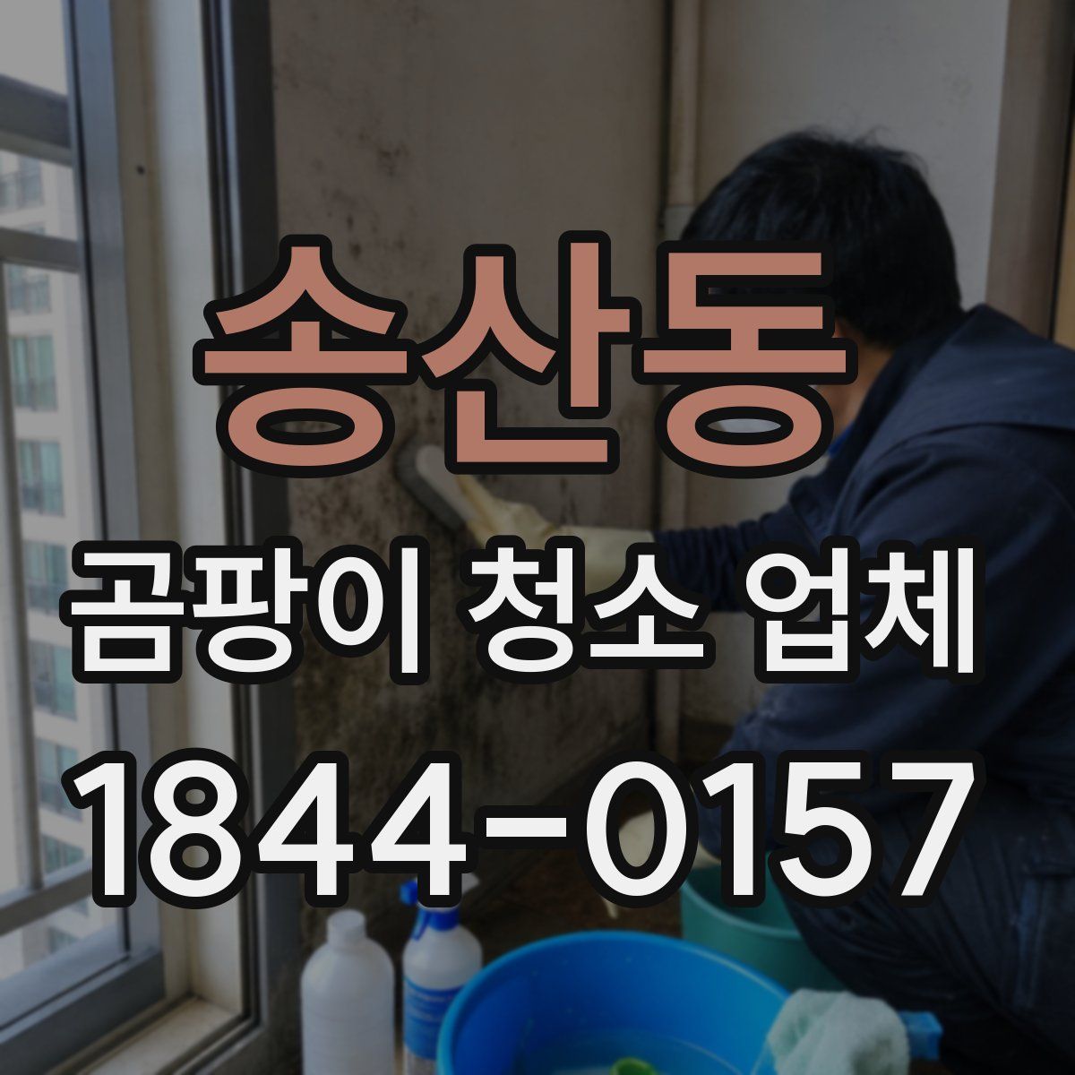 송산동 곰팡이 청소 업체