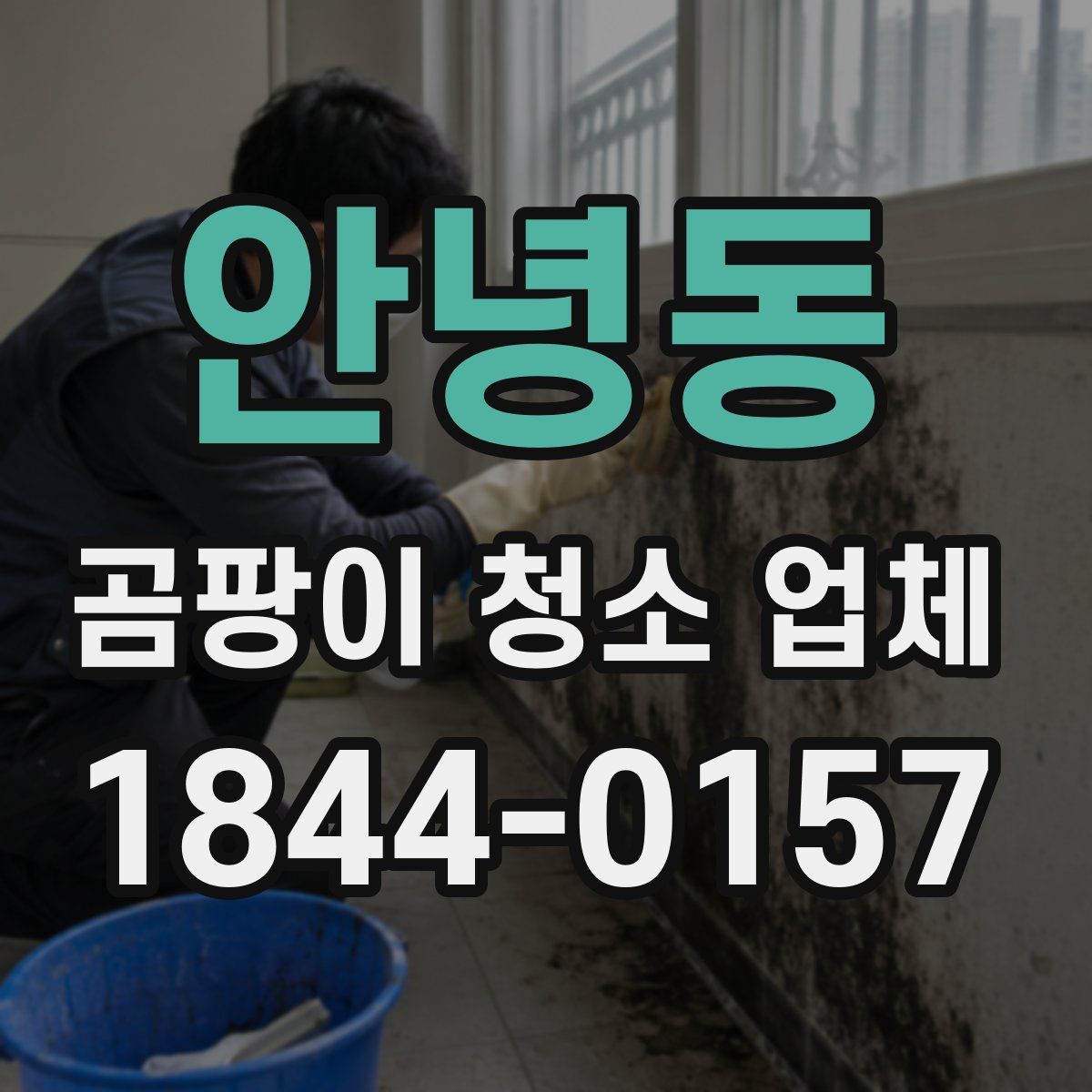 안녕동 곰팡이 청소 업체