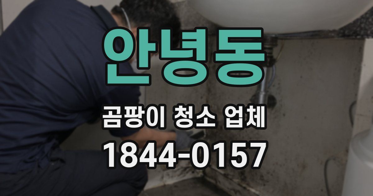 안녕동 곰팡이 청소 업체