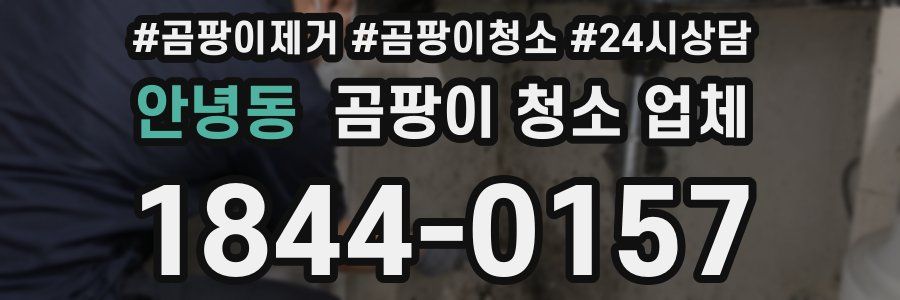 안녕동 곰팡이 청소 업체