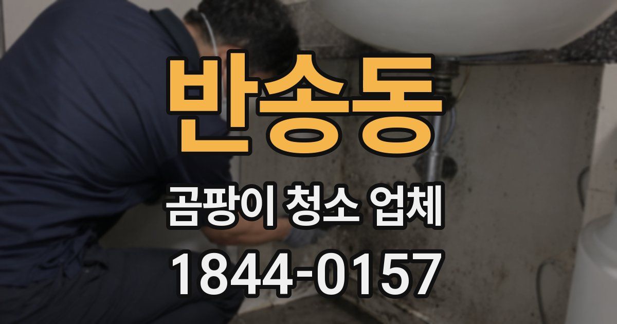 반송동 곰팡이 청소 업체