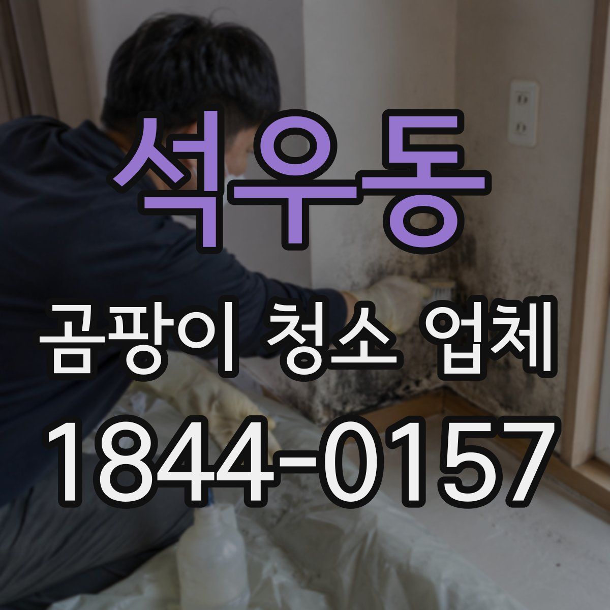 석우동 곰팡이 청소 업체