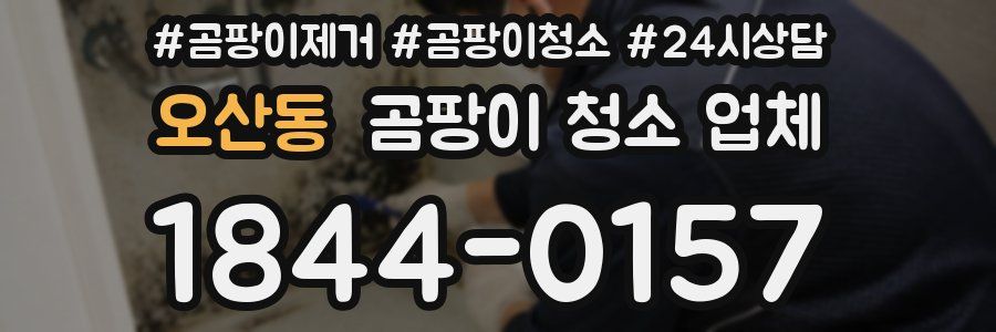 오산동 곰팡이 청소 업체