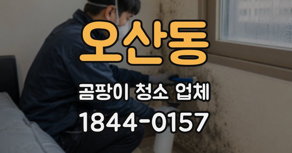 오산동 곰팡이 청소 업체