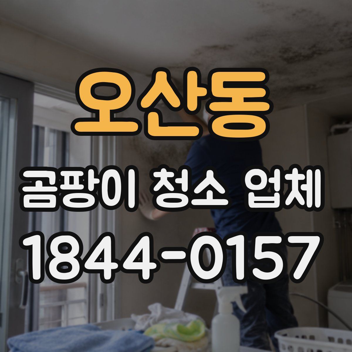 오산동 곰팡이 청소 업체