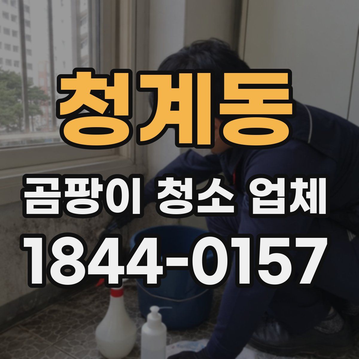 청계동 곰팡이 청소 업체