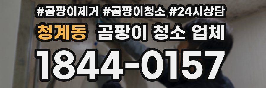 청계동 곰팡이 청소 업체