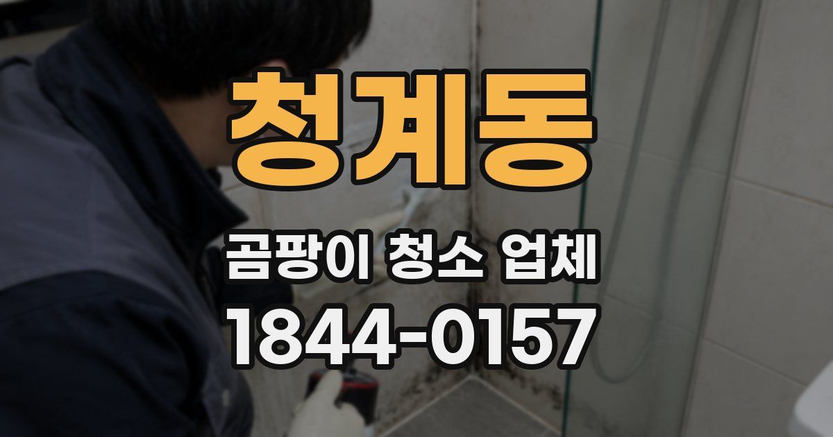 청계동 곰팡이 청소 업체