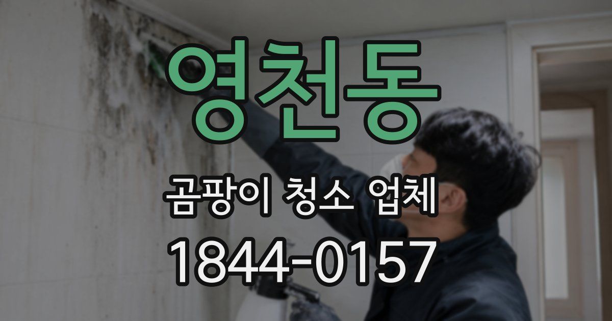 영천동 곰팡이 청소 업체