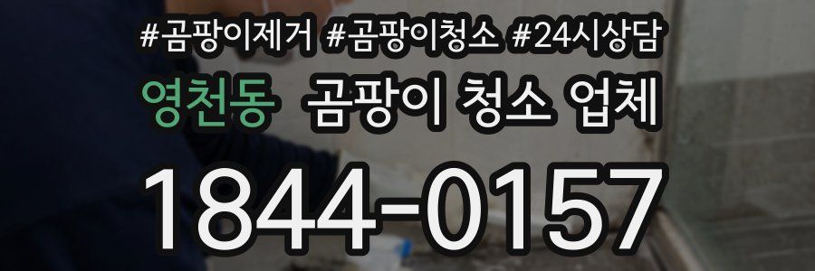 영천동 곰팡이 청소 업체