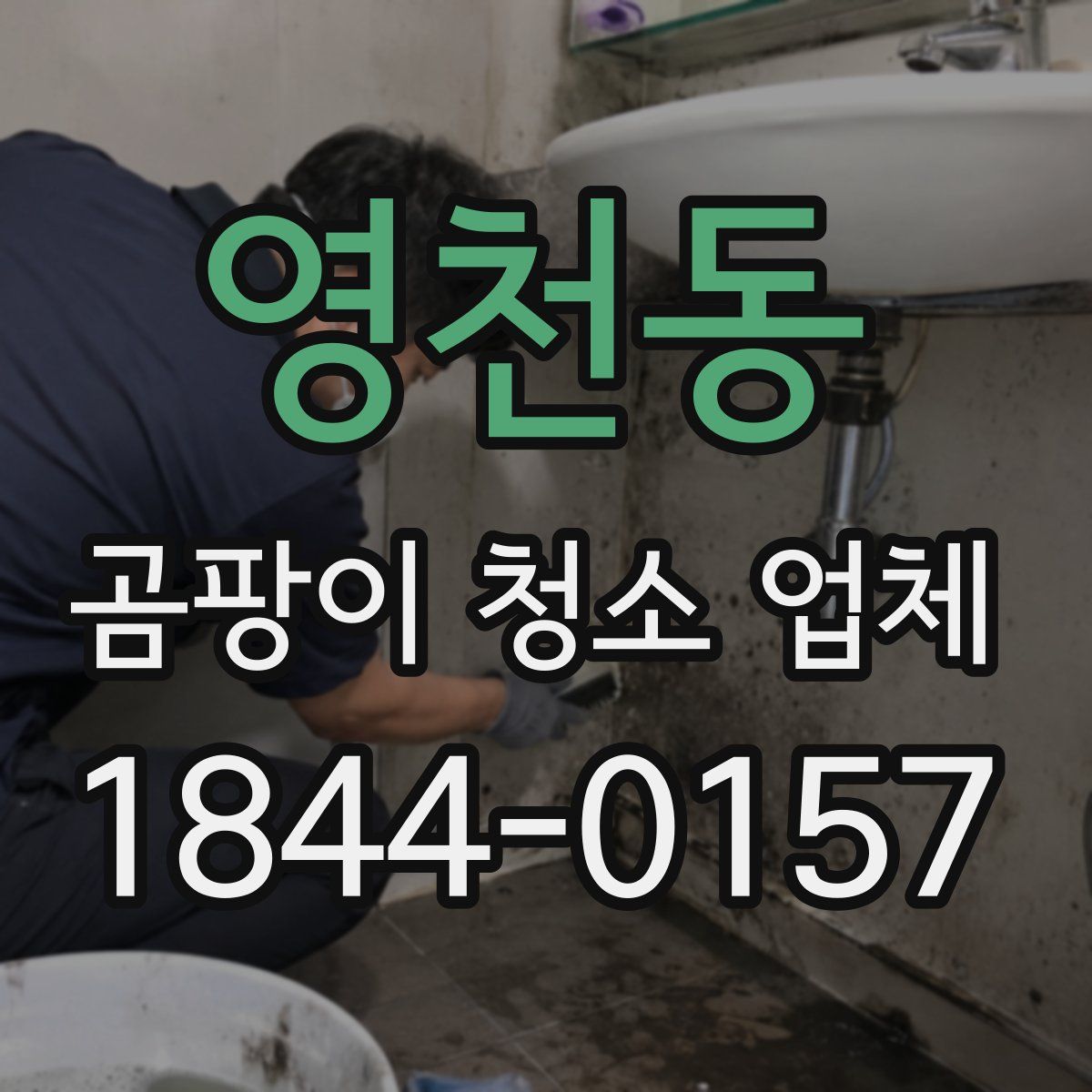 영천동 곰팡이 청소 업체