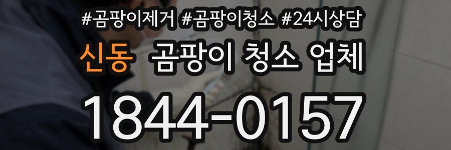 신동 곰팡이 청소 업체