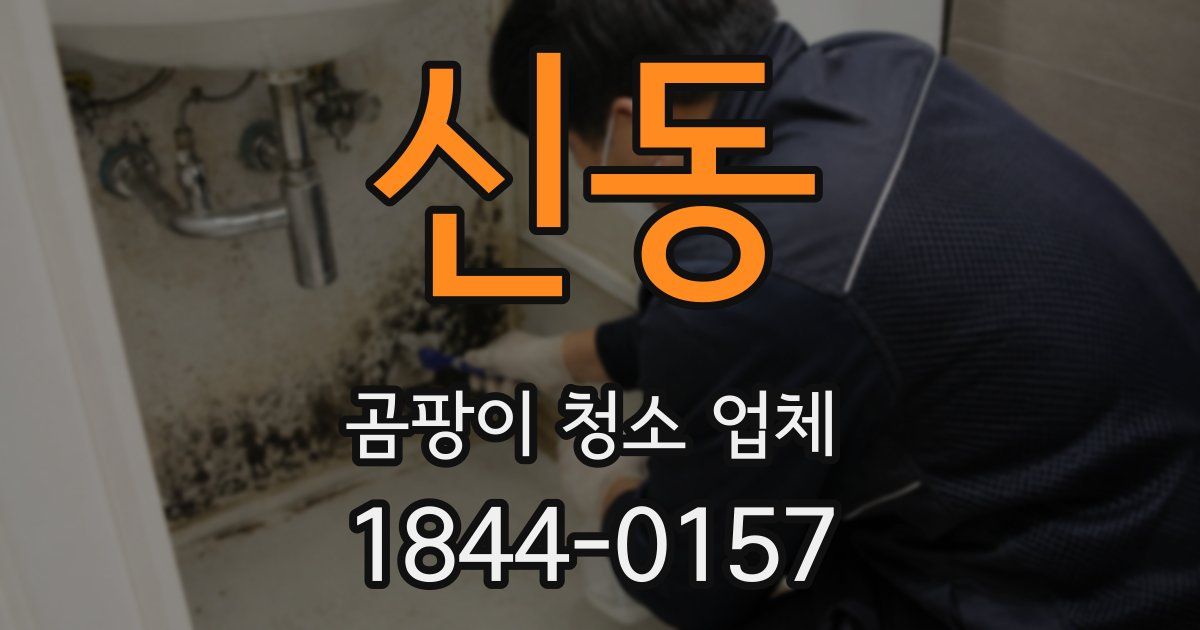 신동 곰팡이 청소 업체