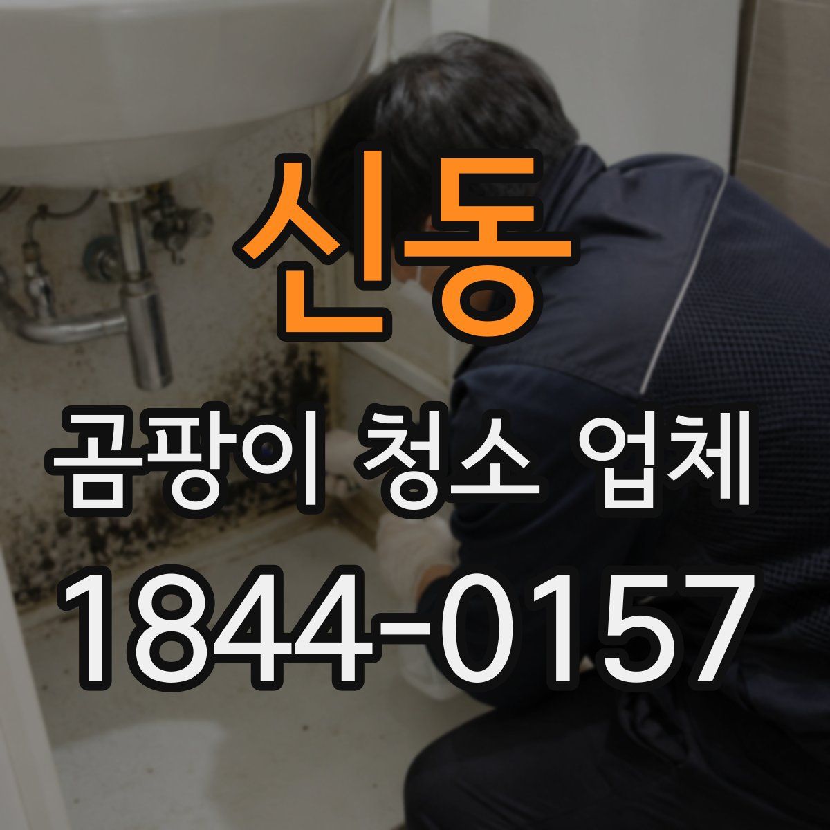 신동 곰팡이 청소 업체