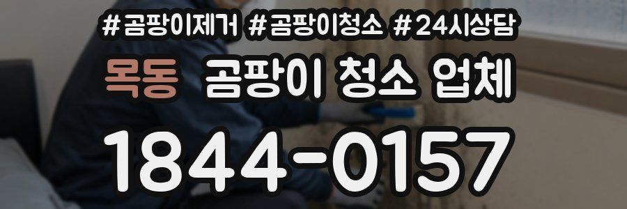 목동 곰팡이 청소 업체