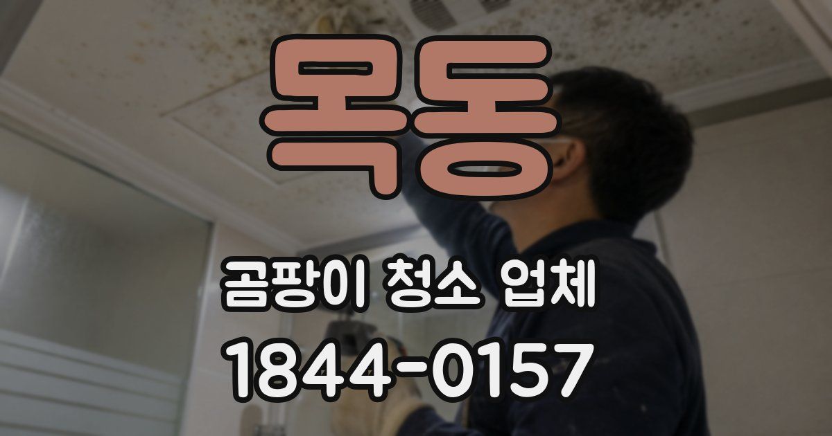 목동 곰팡이 청소 업체