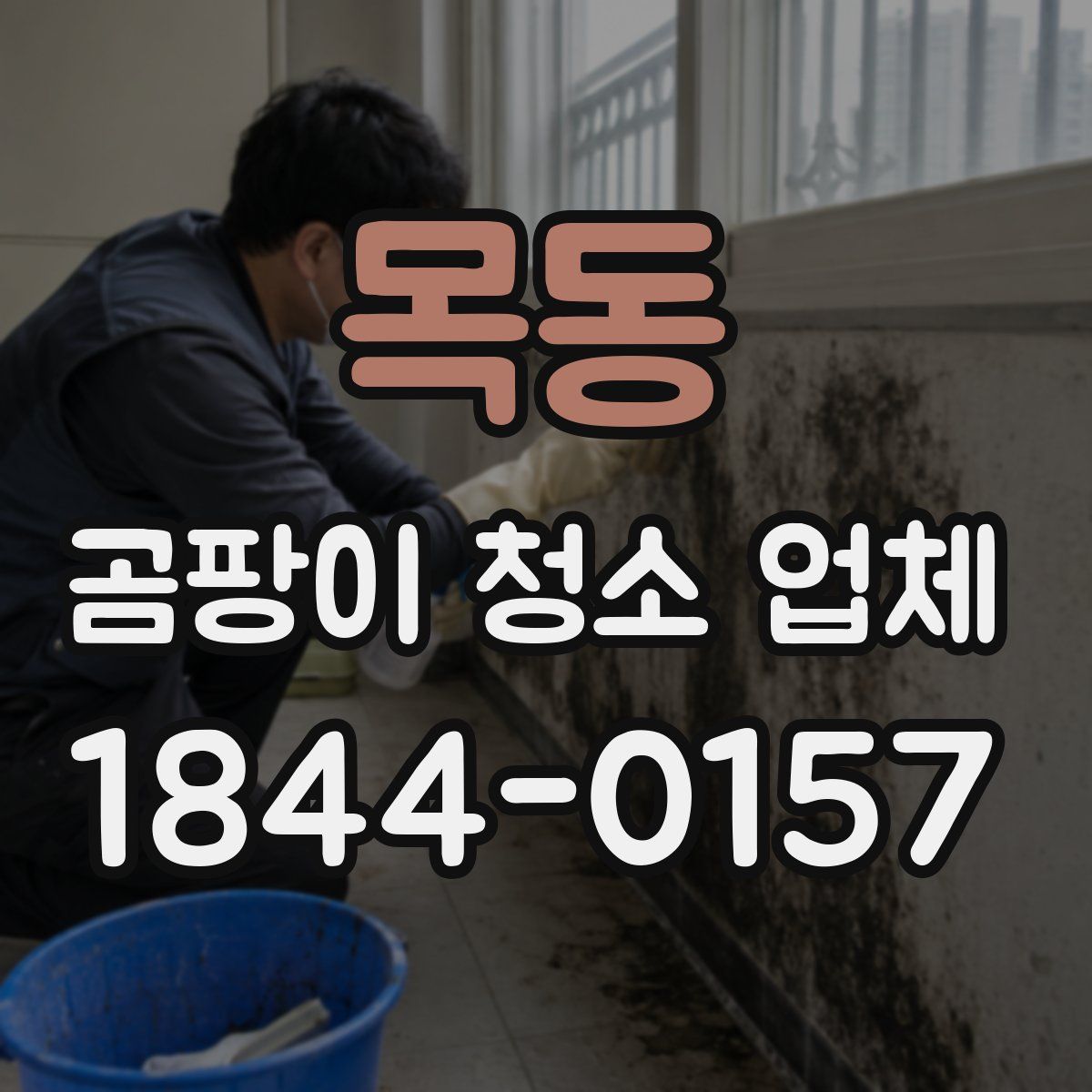 목동 곰팡이 청소 업체