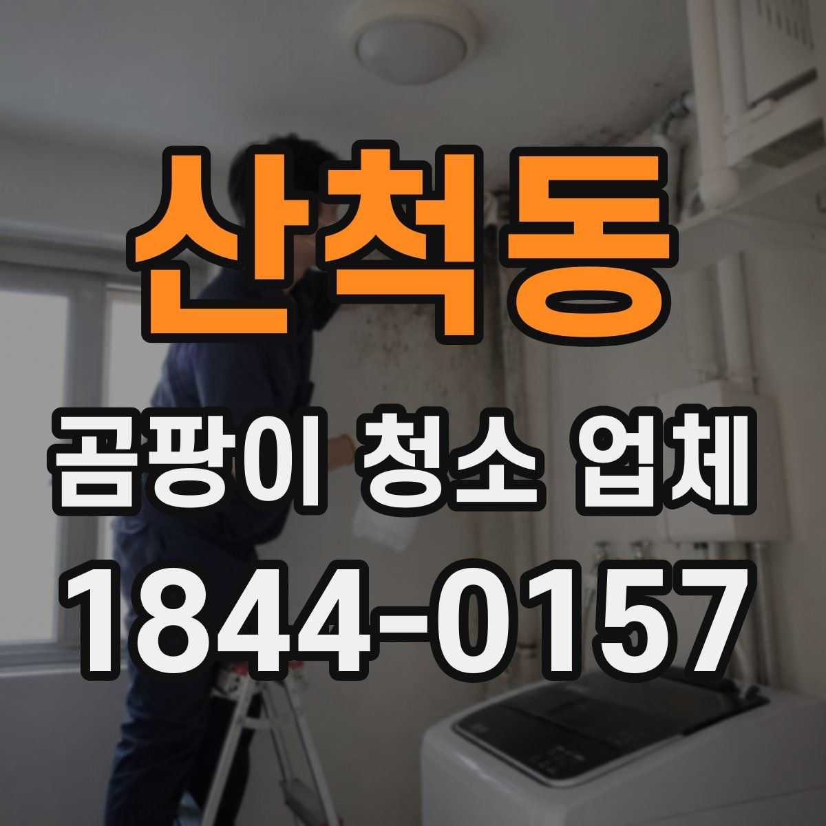 산척동 곰팡이 청소 업체