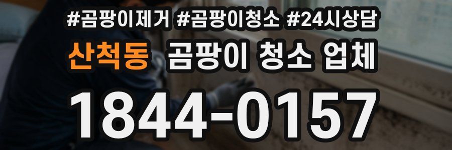 산척동 곰팡이 청소 업체