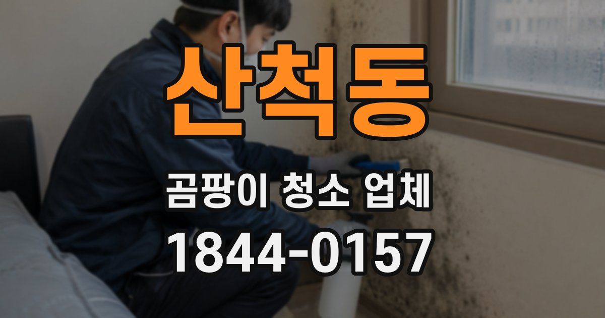산척동 곰팡이 청소 업체