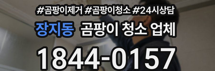 장지동 곰팡이 청소 업체