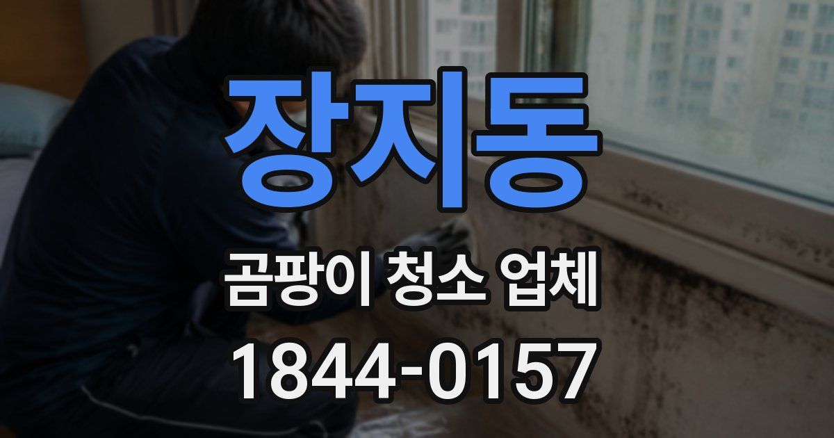 장지동 곰팡이 청소 업체
