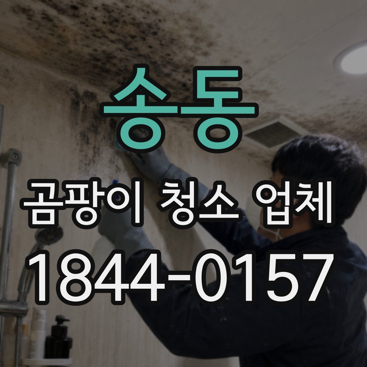 송동 곰팡이 청소 업체