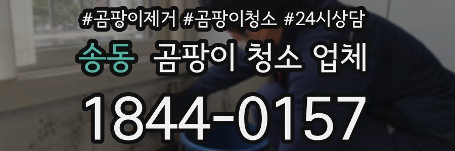 송동 곰팡이 청소 업체