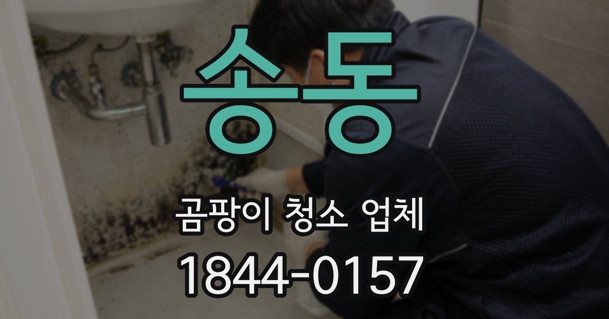 송동 곰팡이 청소 업체
