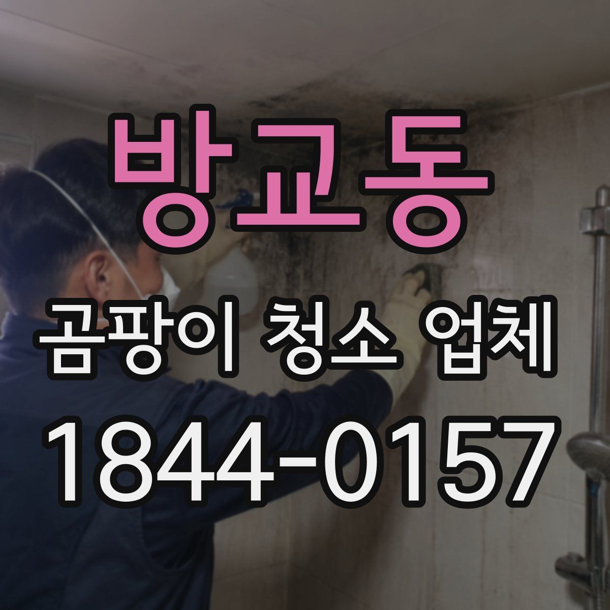 방교동 곰팡이 청소 업체