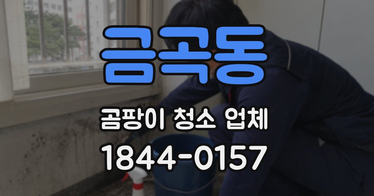 금곡동 곰팡이 청소 업체