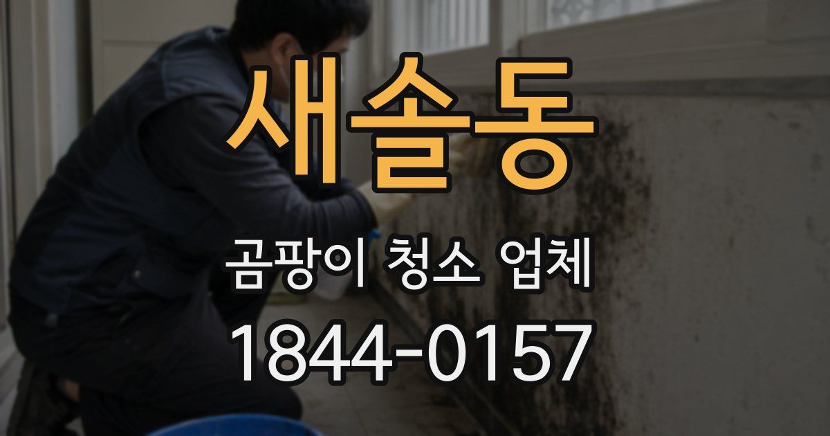 새솔동 곰팡이 청소 업체