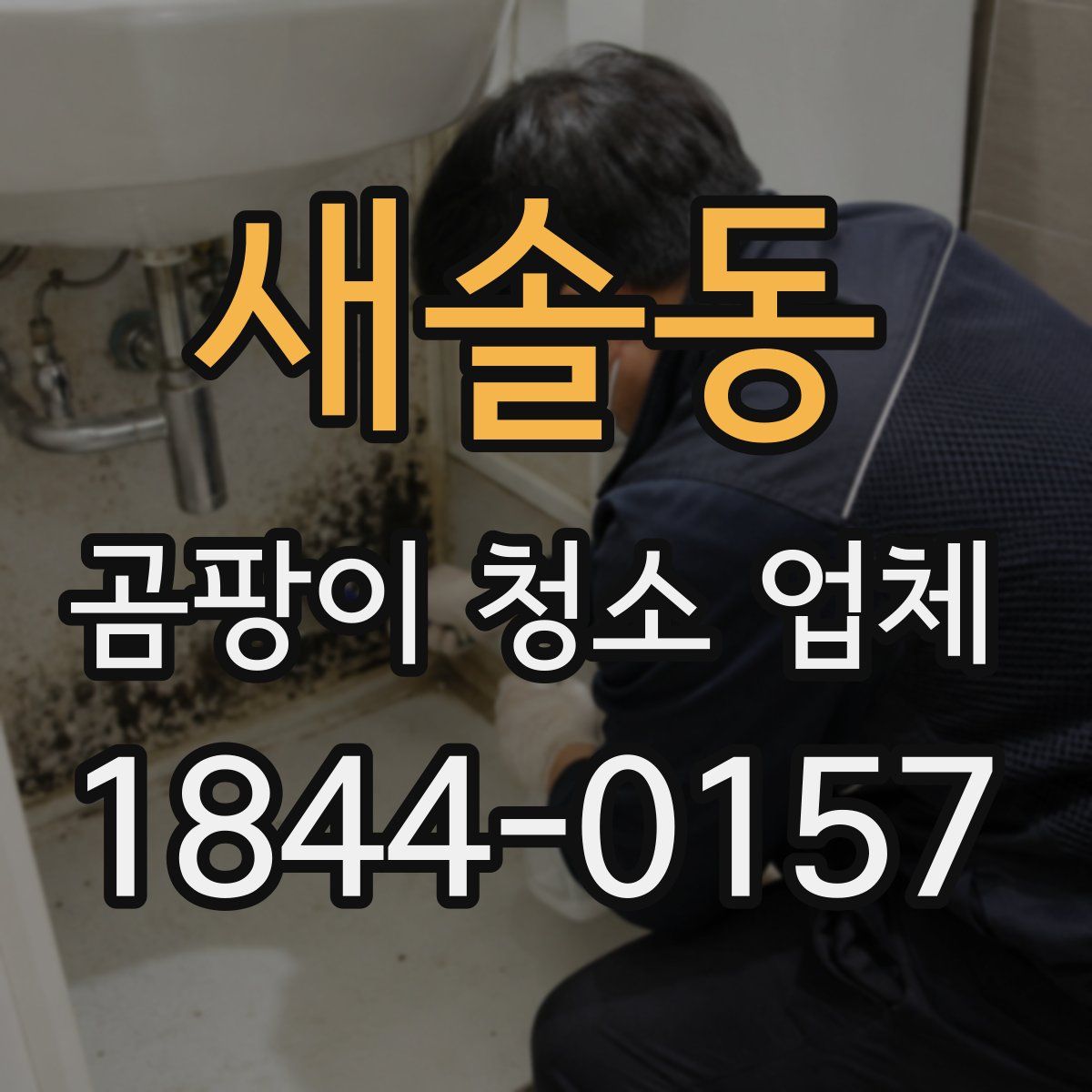 새솔동 곰팡이 청소 업체