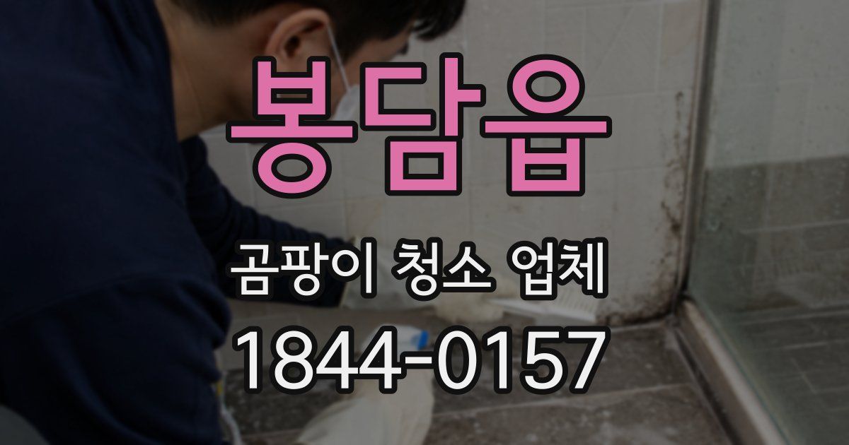 봉담읍 곰팡이 청소 업체