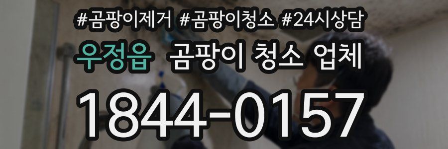 우정읍 곰팡이 청소 업체