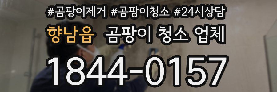 향남읍 곰팡이 청소 업체